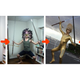 Illustration for article titled A Truly Spectacular Cosplay Evolution